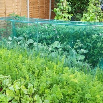 Gardening Naturally Soft Green Anti Butterfly Netting for Garden Fruit Crop Protection (2m x 5m)