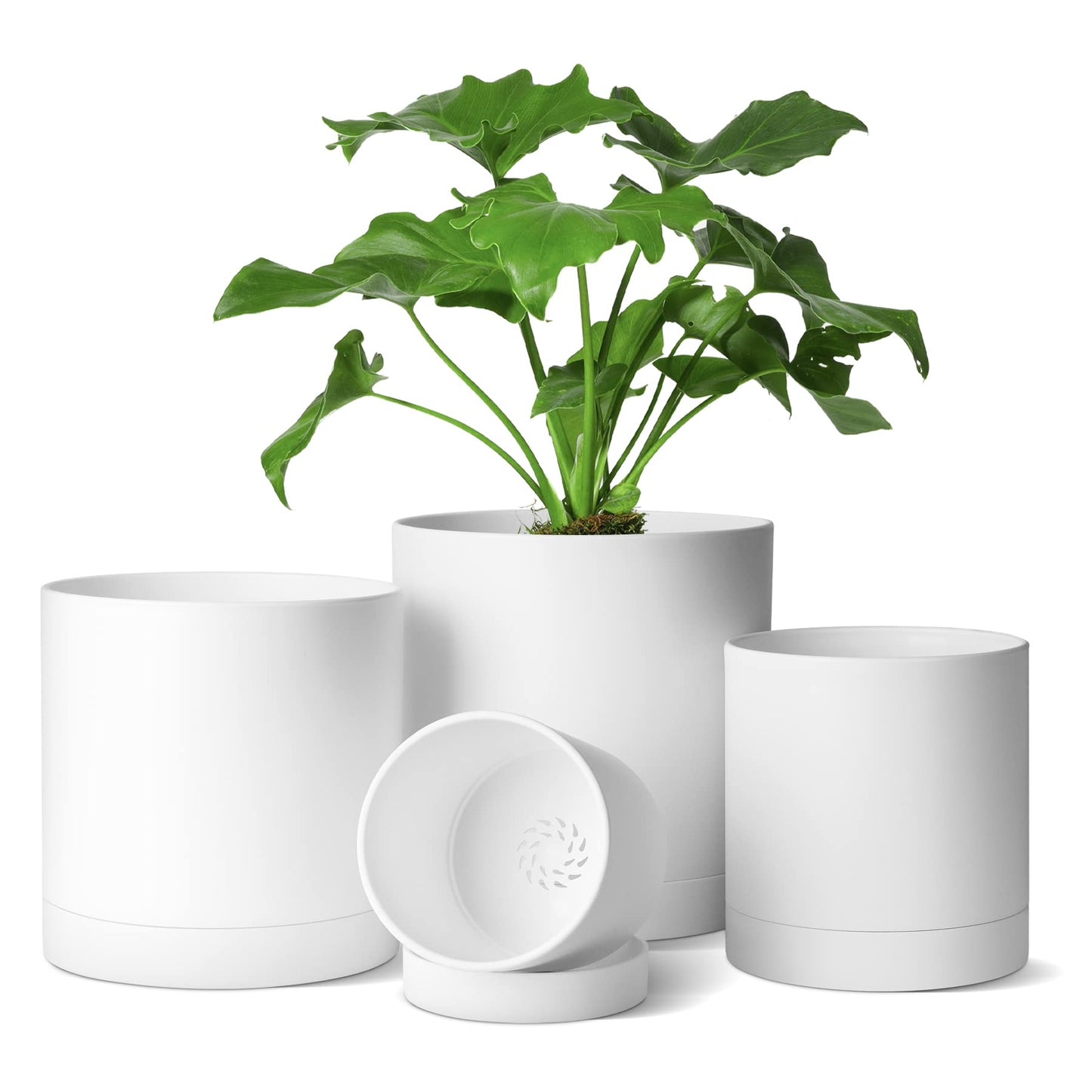 T4U Plastic Plant Pots Indoor, 4/5/6/7 Inch White Plant Pots with Saucers 4 Pcs, 3.5MM Thickened Planters Container with Dense Small Drainage Holes for House Plant Flower Orchid Herb Aloe Succulent