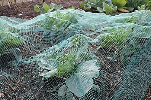 Gardening Naturally Soft Green Anti Butterfly Netting for Garden Fruit Crop Protection (2m x 5m)