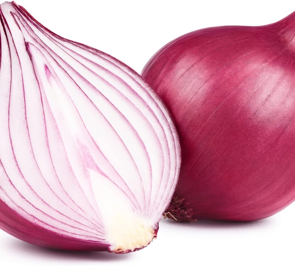 Red Winter Onion Sets - 250grams - Bulb Size 14/21 - Grow Your Own Onions – for Cooking, Salads, Garnish & Casseroles – Ready to Plant Now - By Jamieson Brothers