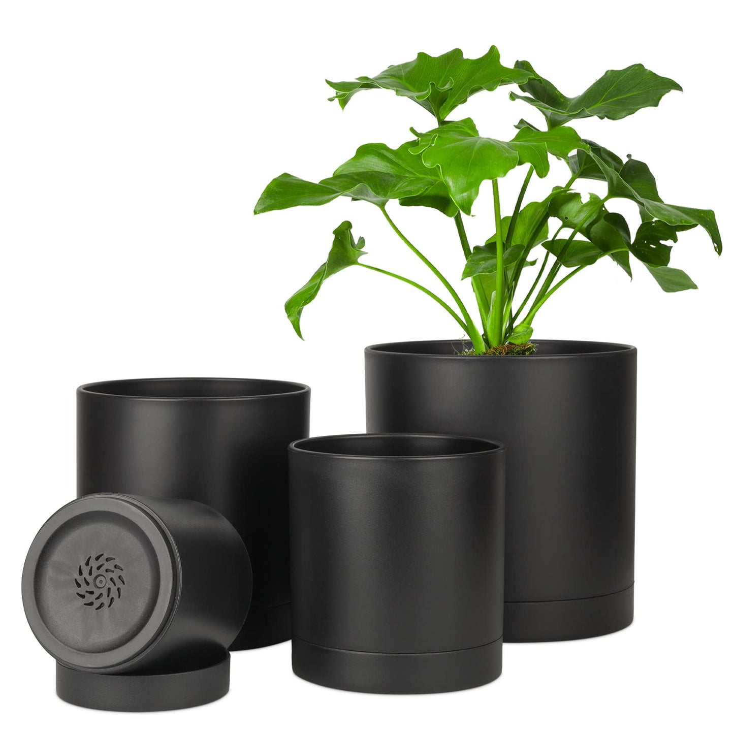 T4U Plastic Plant Pots Indoor, 4/5/6/7 Inch White Plant Pots with Saucers 4 Pcs, 3.5MM Thickened Planters Container with Dense Small Drainage Holes for House Plant Flower Orchid Herb Aloe Succulent