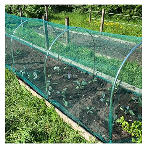 Gardening Naturally Soft Green Anti Butterfly Netting for Garden Fruit Crop Protection (2m x 5m)