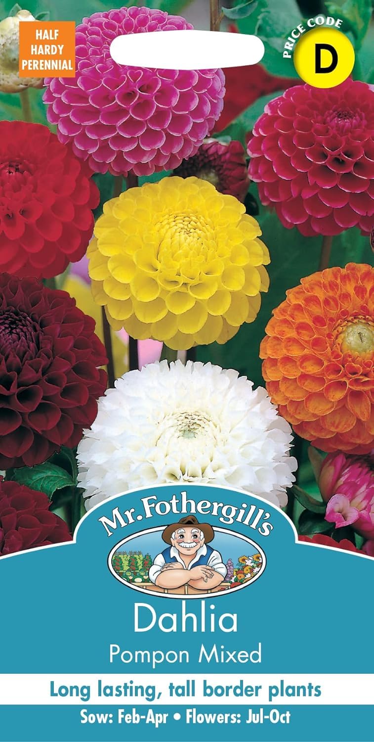 Mr Fothergill's 14600 Dahlia Pompon Mixed Flower Seeds