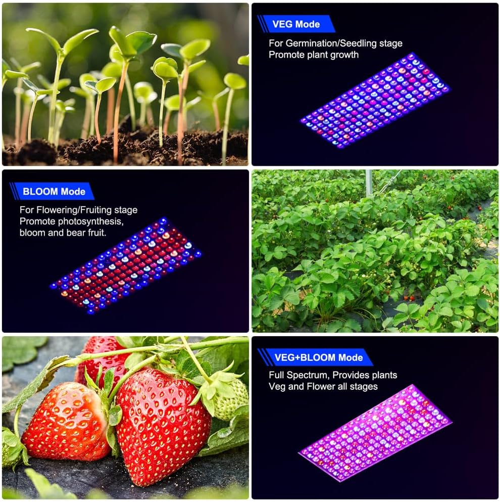 LED Grow Lights for Greenhouse and Indoor Plant Veg and Flower Growing