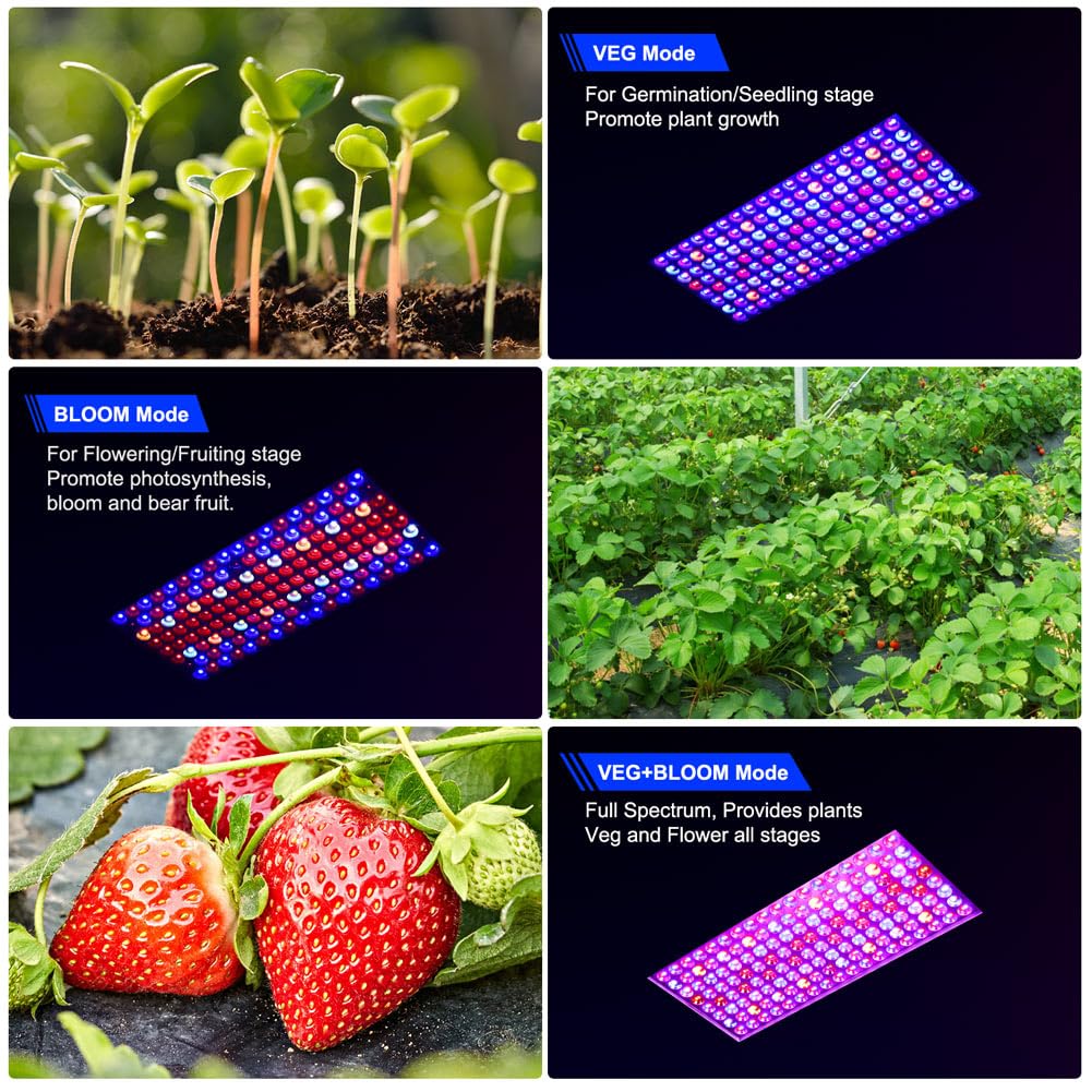 LED Grow Lights for Greenhouse and Indoor Plant Veg and Flower Growing