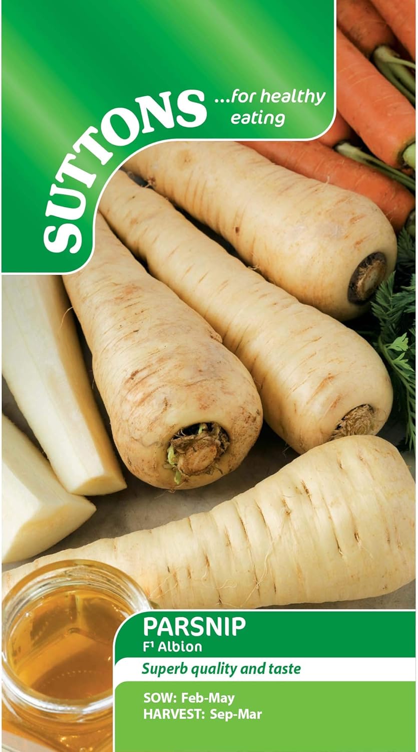 Suttons Parsnip Seeds F1 Albion, Winter Vegetable Seeds, Approx. 380 Seeds per Pack, Grow Your own Parsnip Plants from Seed, Ideal for Beds and Borders, Greenhouses