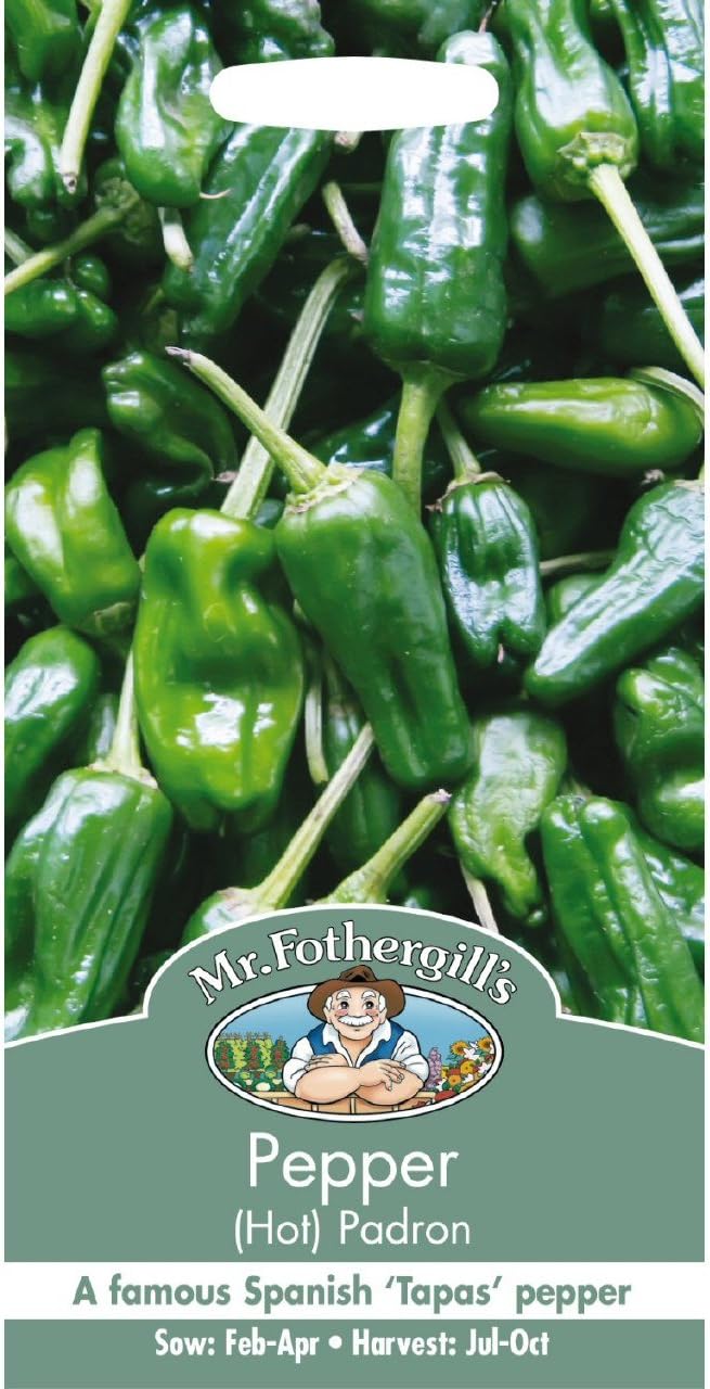 Mr Fothergill?s Seeds Ltd 14304 Mr Fothergill's Pepper (Hot) Padron