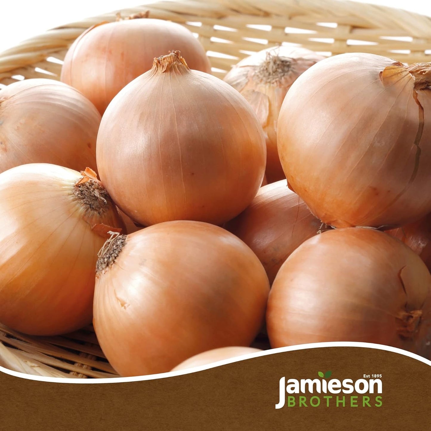 Mixed Winter Onion Sets 3x250gm (Radar, Senshyu and Red Winter) by Jamieson Brothers® - Bulb Size 14/21