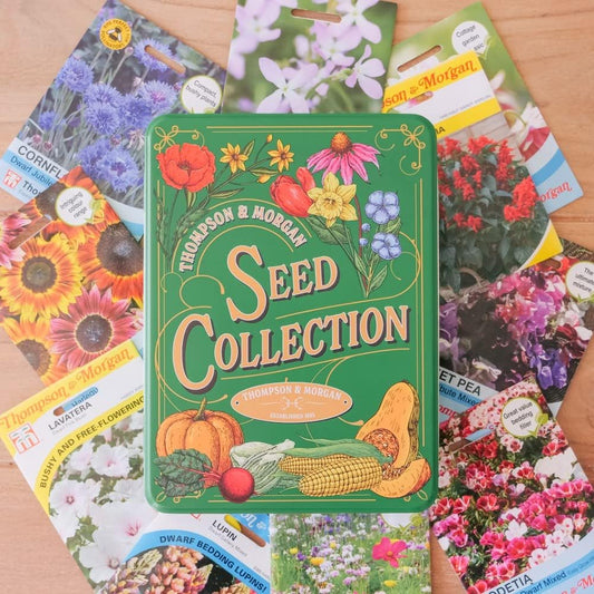 Gift Seed Collection by Thompson & Morgan