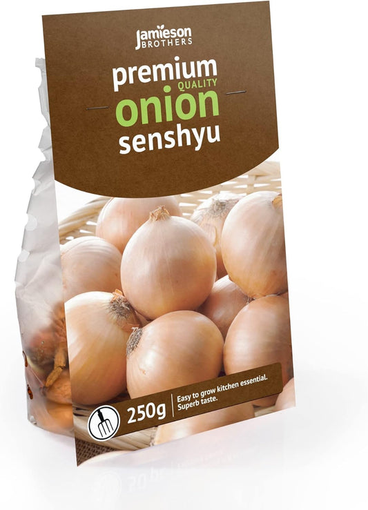 Senshyu Winter Onion Sets (250gm) by Jamieson Brothers - Bulb Size 14/21