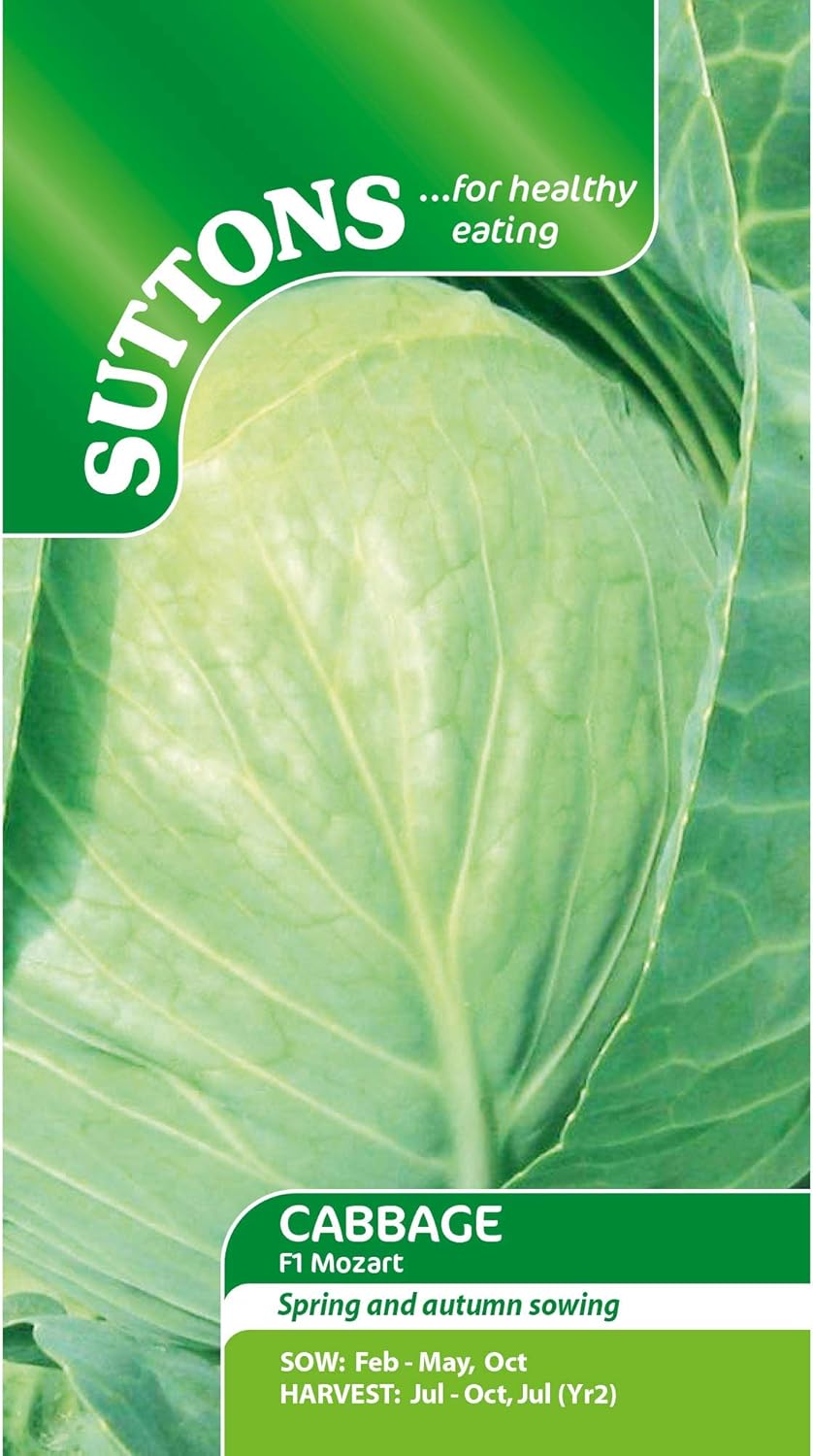 Suttons Cabbage Seeds F1 Mozart, Vegetable Seed, Approx. 45 Seeds per Pack, Grow Your own, Ideal for Beds and Borders