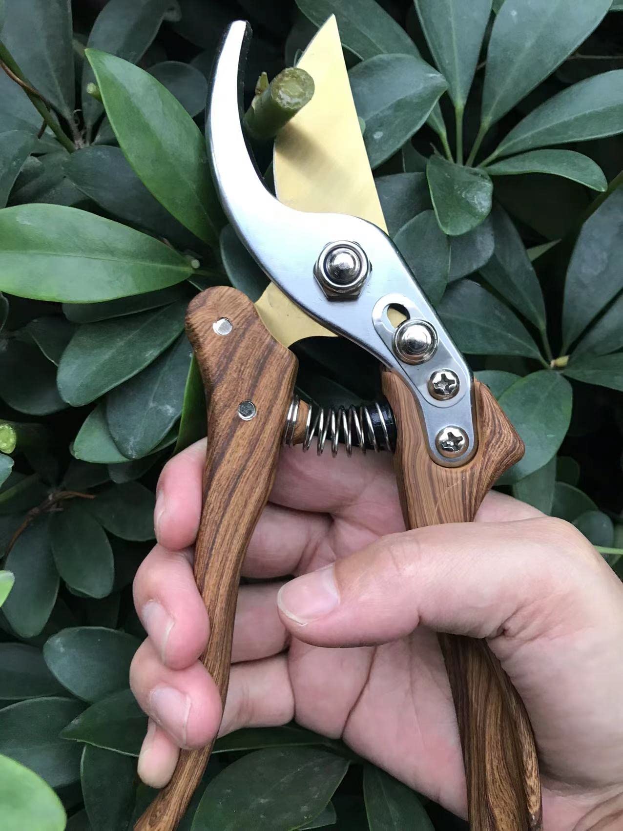 Horsvill Garden Shears, Pruning Scissors Made of Japanese SK4 Steel Blades, Garden Secateurs for Heavy Duty, Garden Snips and Flower Plants Clippers, Professional Pretty Garden Tools (Wood Grain)