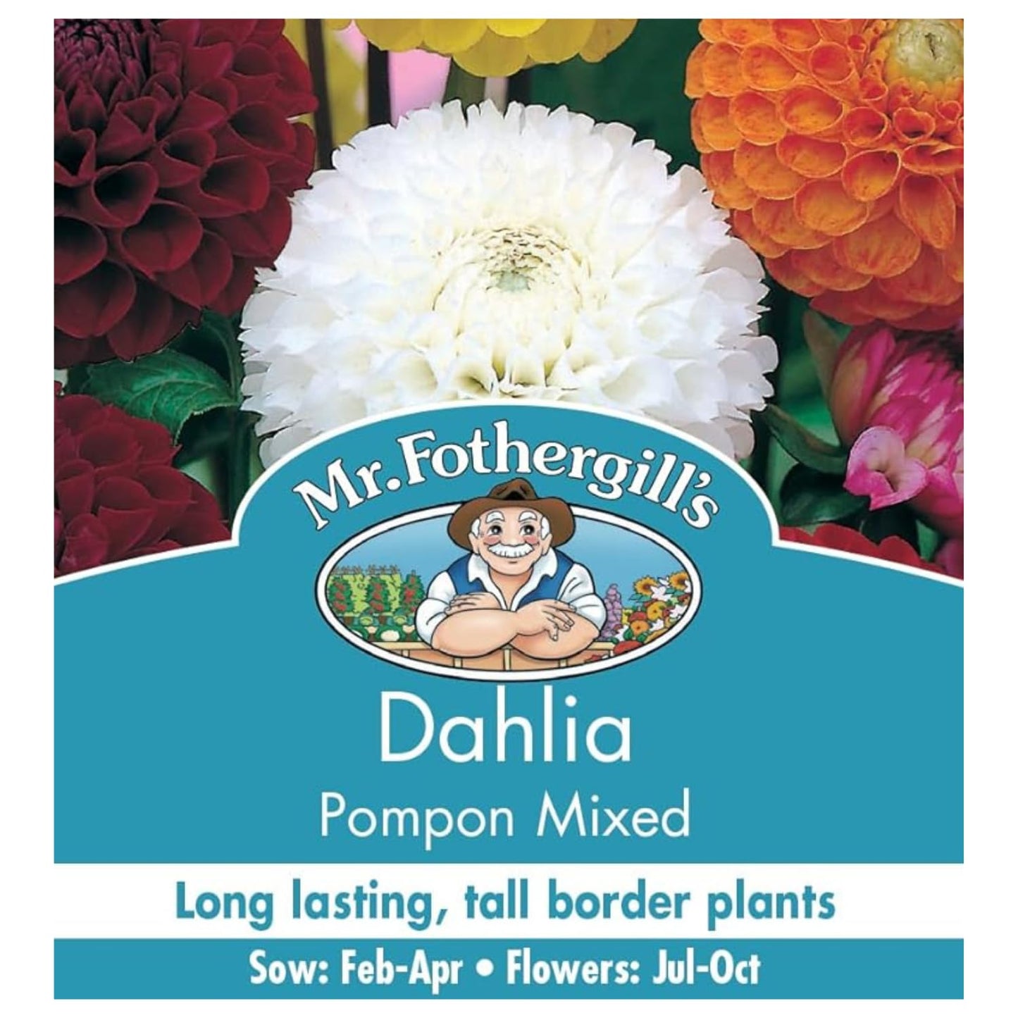 Mr Fothergill's 14600 Dahlia Pompon Mixed Flower Seeds