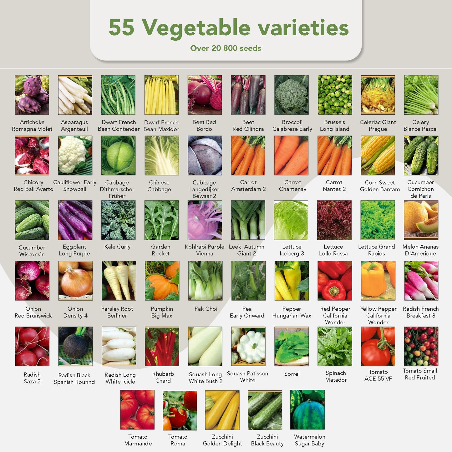 Grow Your Own Seed Box by Garden Pack - 75 Varieties of Flower, Herb, Vegetable Seeds