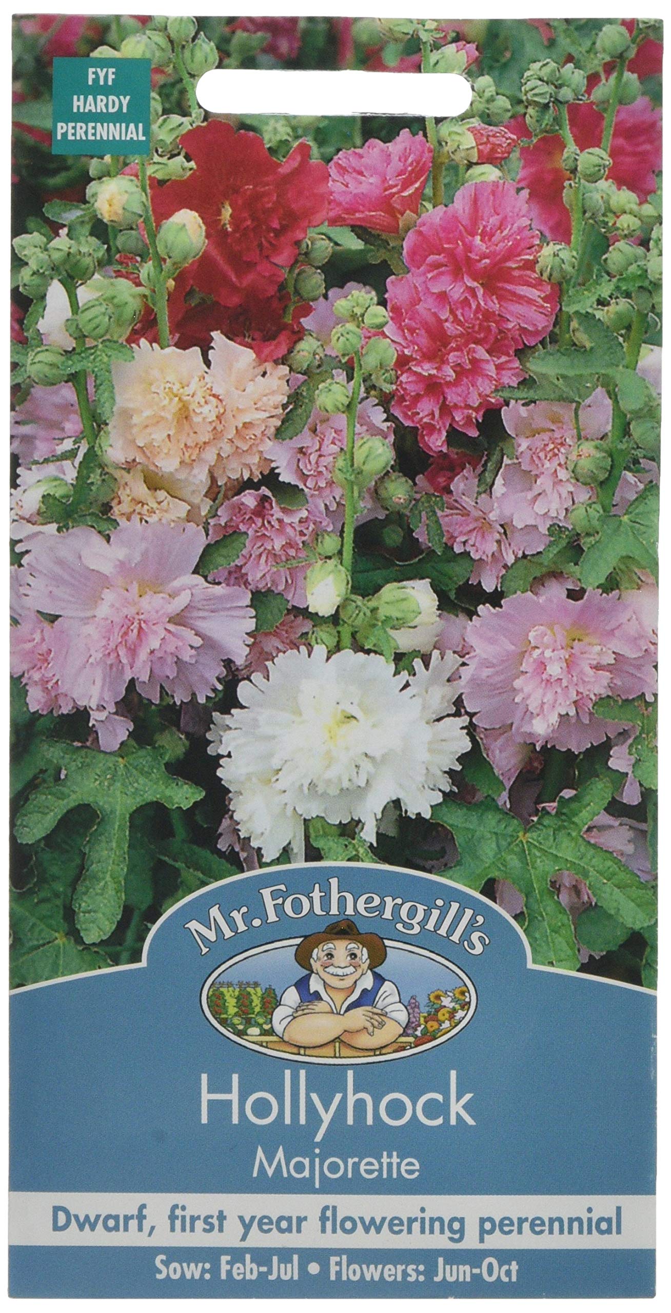 Mr Fothergill's 12354 Flower Seeds, Hollyhock Majorette Mixed