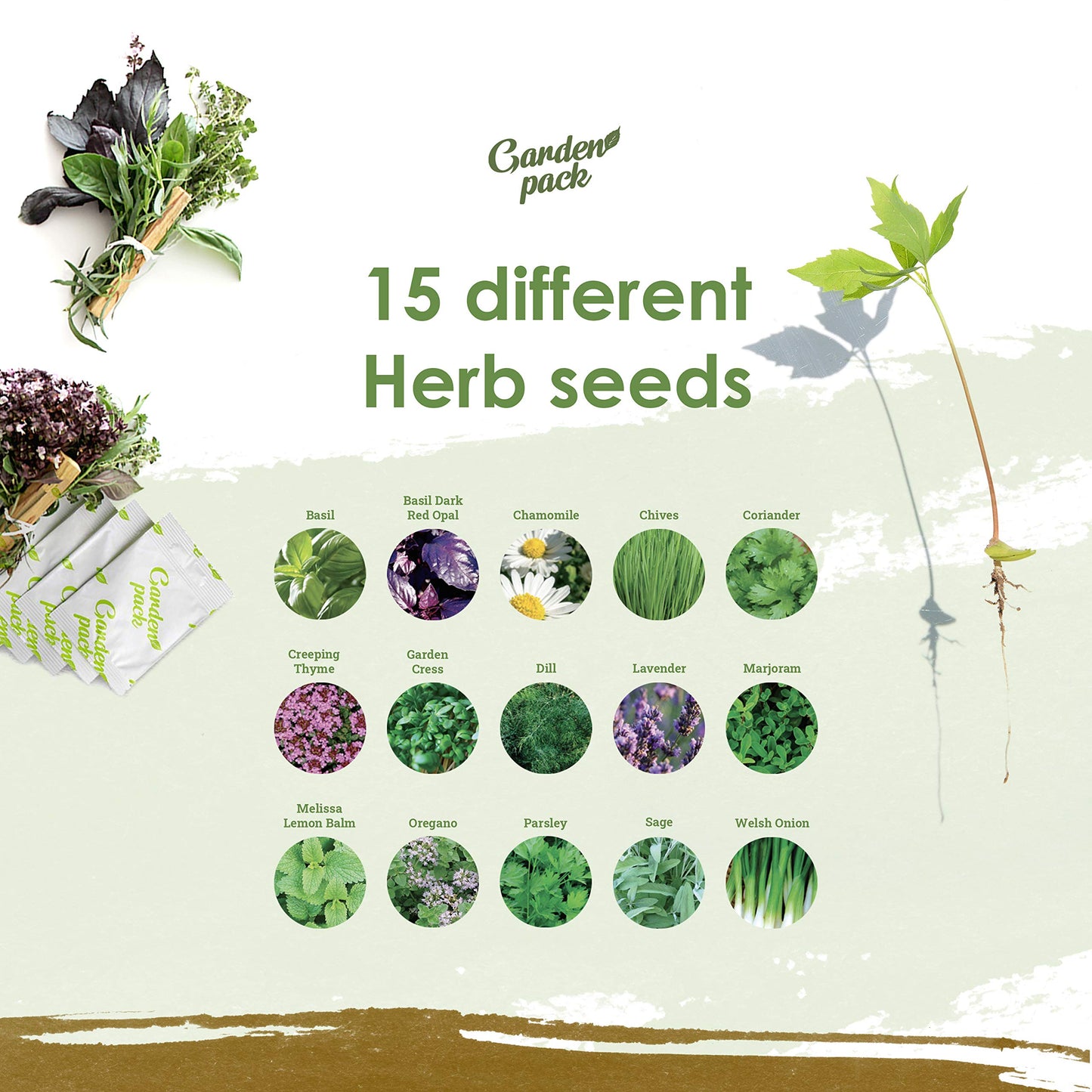 Grow Your Own Seed Box by Garden Pack - 75 Varieties of Flower, Herb, Vegetable Seeds