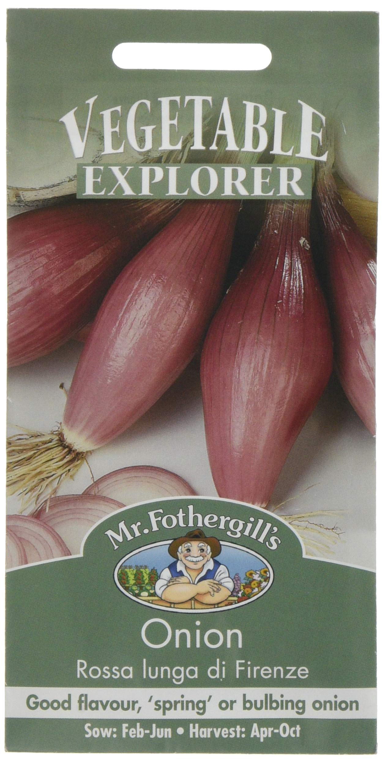 Mr Fothergill's 10890 Vegetable Seeds, Onion (Spring) White Lisbon