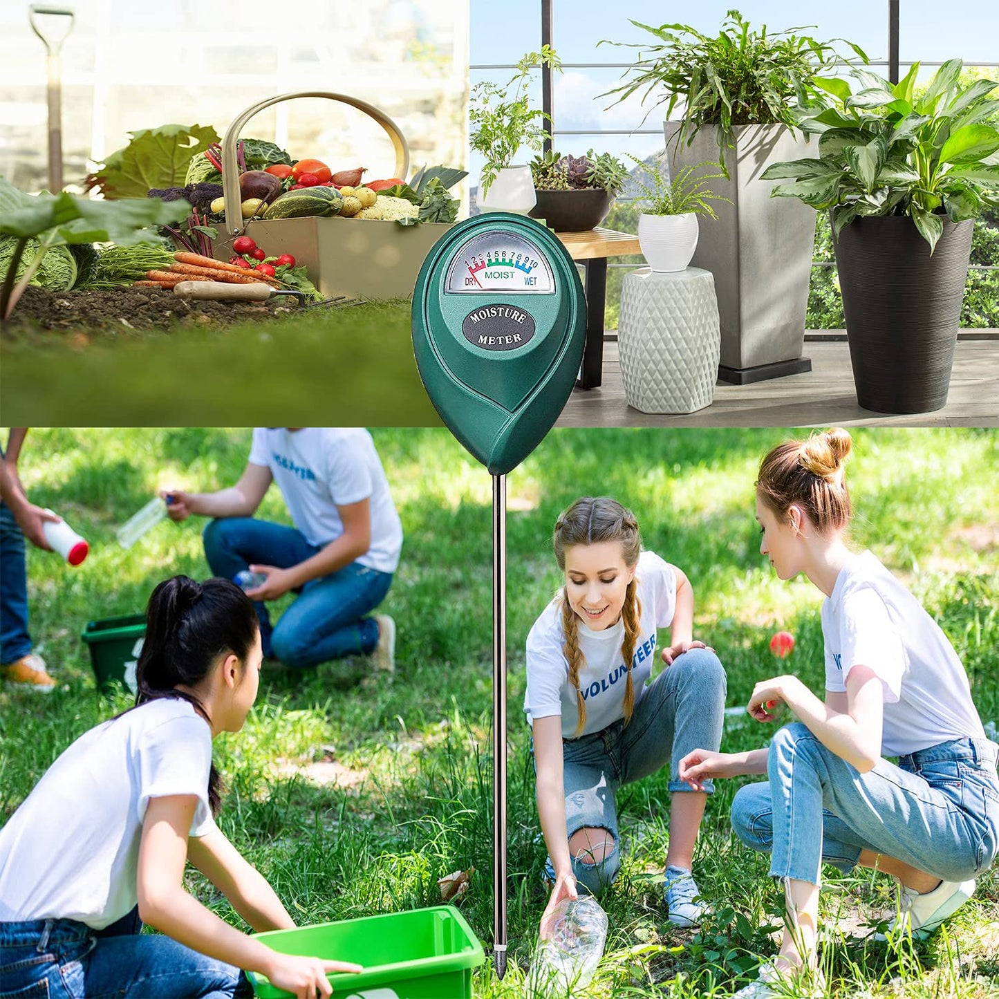 XLUX Soil Moisture Meter, Plant Water Monitor, Hygrometer Sensor for Gardening, Farming, indoor and outdoor plants, No Batteries Required