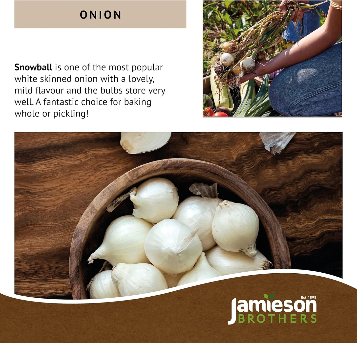 Snowball Winter Onion Sets (250gm) by Jamieson Brothers - Bulb Size 14/21