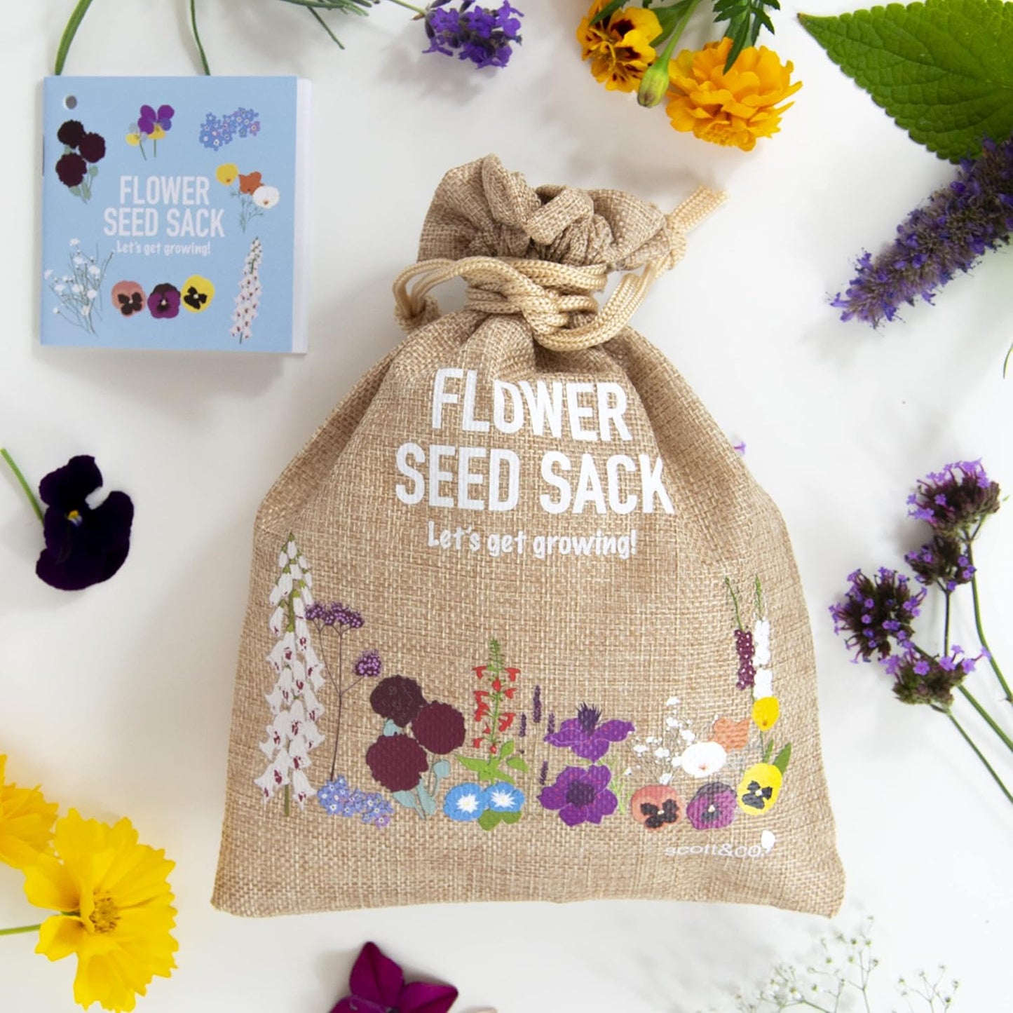 Scott&Co. Flower Seed Variety Pack - 30 Different Varieties of Flower Seeds to Grow Your Own. Butterfly and Bee Attracting, Grow Indoor and Outdoor. Gardening Gifts for Women and Men