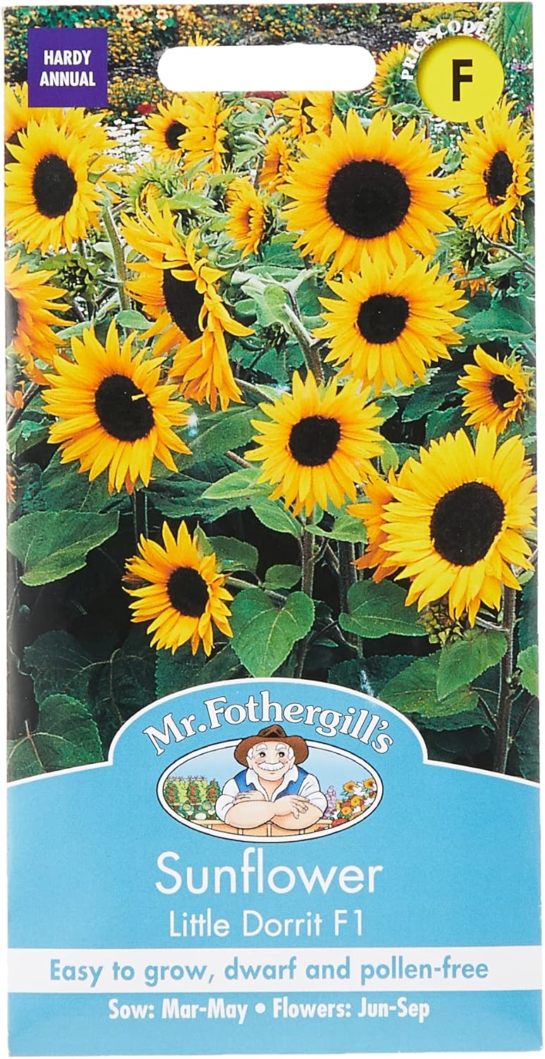 Mr Fothergill's 24272 Flower Seeds, SUNFLOWER Little Dorrit F1, Yellow