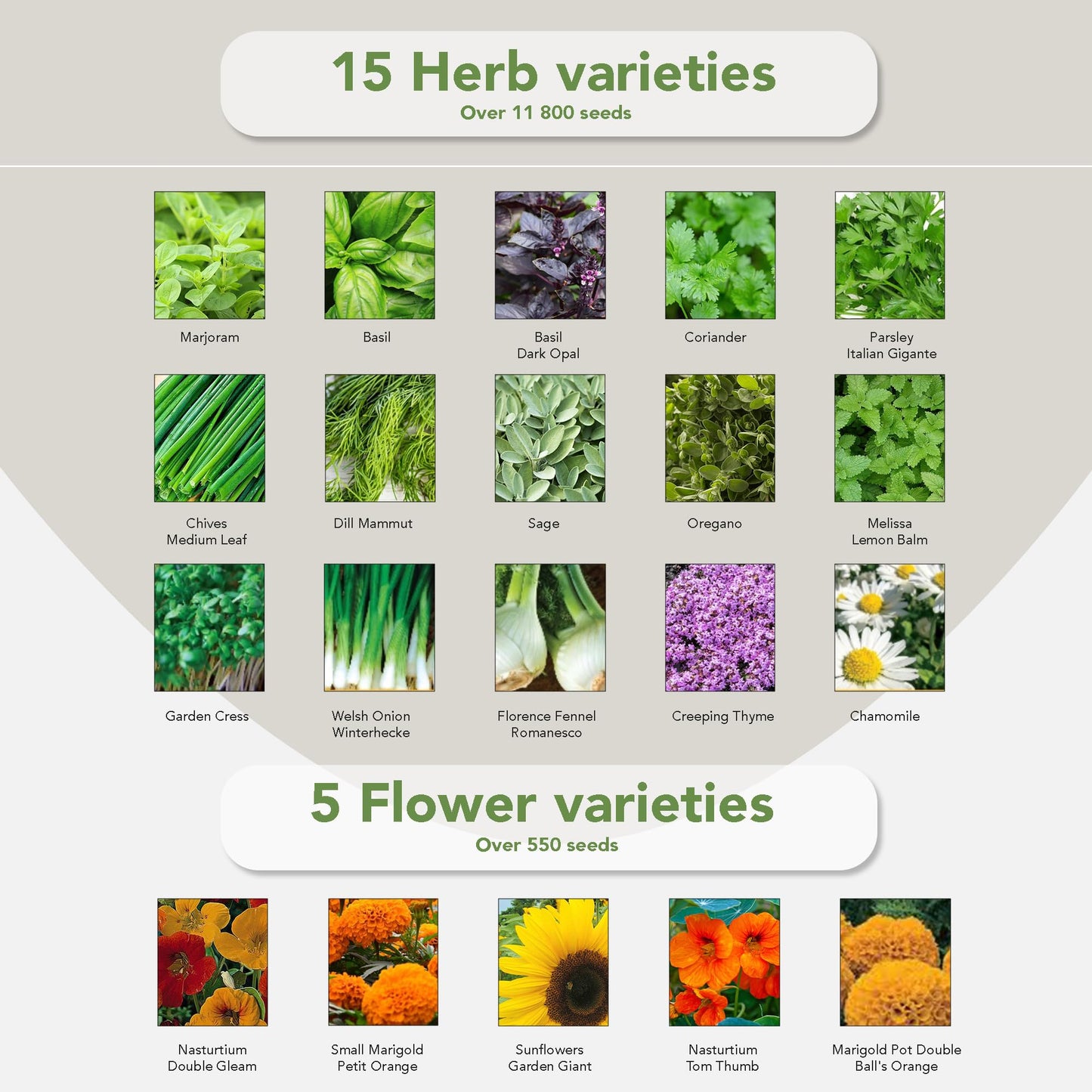 Grow Your Own Seed Box by Garden Pack - 75 Varieties of Flower, Herb, Vegetable Seeds