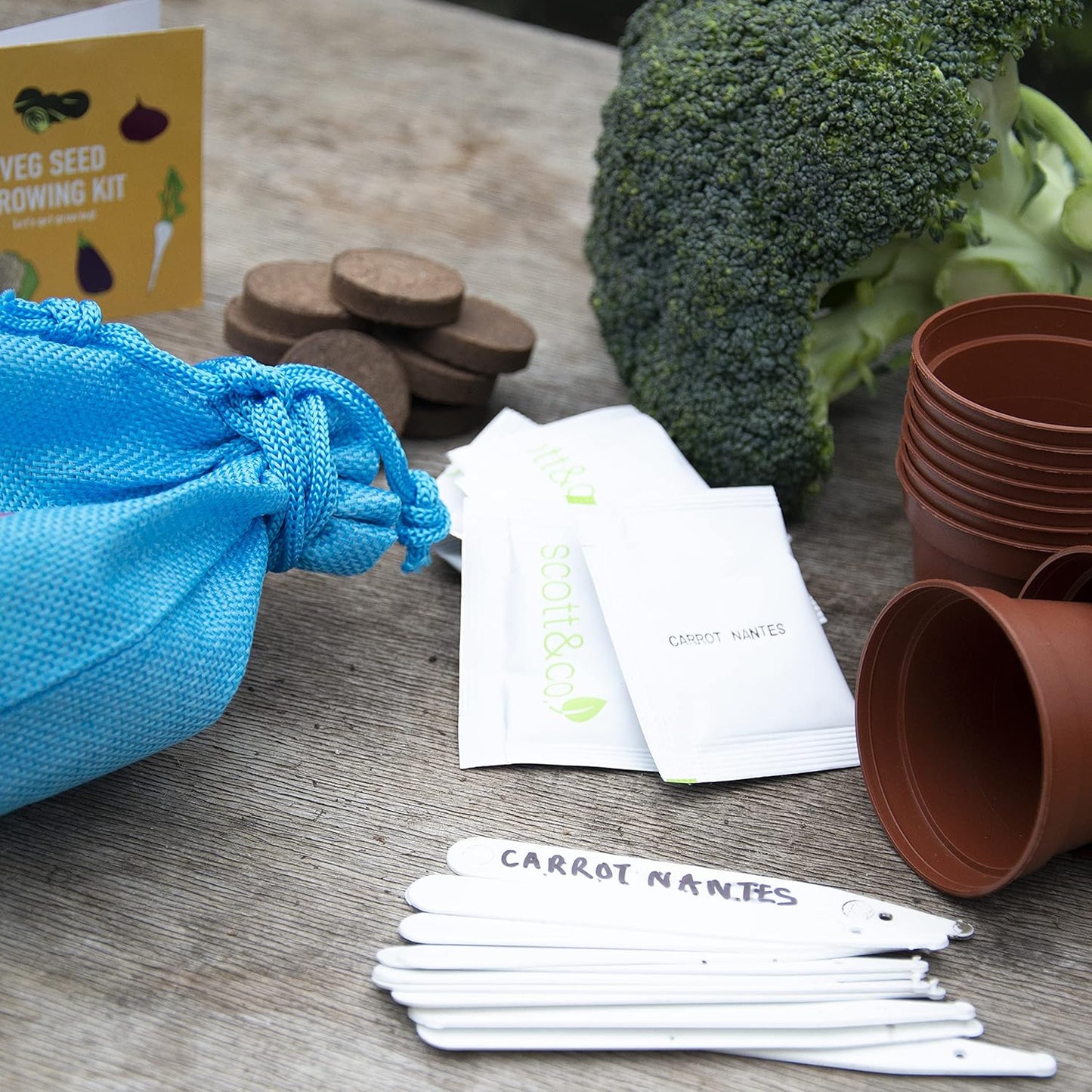 Scott&Co. Vegetable Seed Grow Your Own Kit, 10 Different Veg Seed Varieties, Carrots, Cabbage, Broccoli. Growing Guide, Seeds, Pots, Labels and Compost, Gardening Gifts for Women and Men