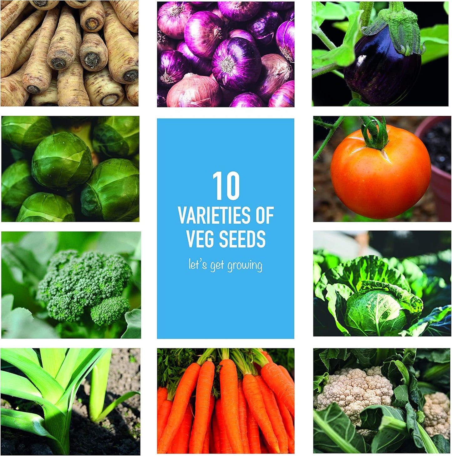 Scott&Co. Vegetable Seed Grow Your Own Kit, 10 Different Veg Seed Varieties, Carrots, Cabbage, Broccoli. Growing Guide, Seeds, Pots, Labels and Compost, Gardening Gifts for Women and Men