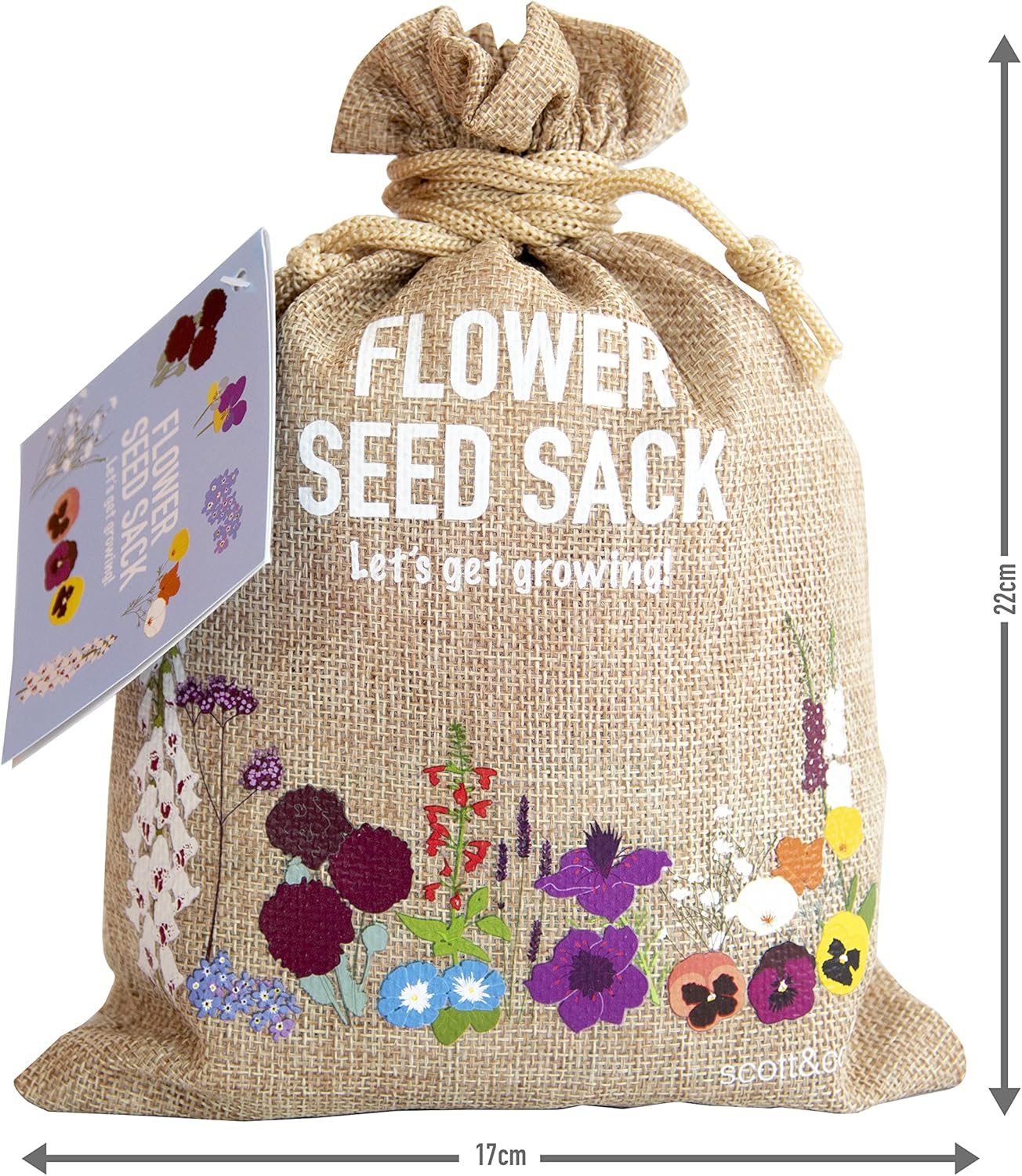 Scott&Co. Flower Seed Variety Pack - 30 Different Varieties of Flower Seeds to Grow Your Own. Butterfly and Bee Attracting, Grow Indoor and Outdoor. Gardening Gifts for Women and Men