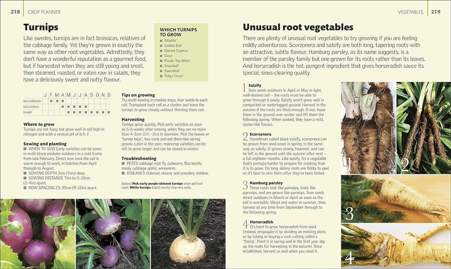 Allotment Month By Month Book - Alan Buckingham