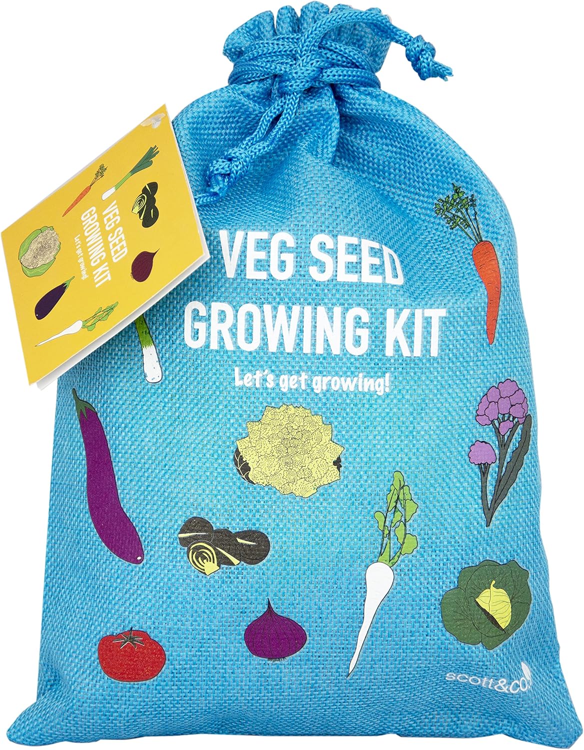 Scott&Co. Vegetable Seed Grow Your Own Kit, 10 Different Veg Seed Varieties, Carrots, Cabbage, Broccoli. Growing Guide, Seeds, Pots, Labels and Compost, Gardening Gifts for Women and Men